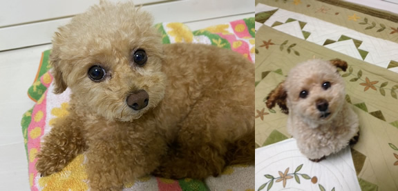 オオノ・ダンススクール新横浜　レンタルダンススタジオ